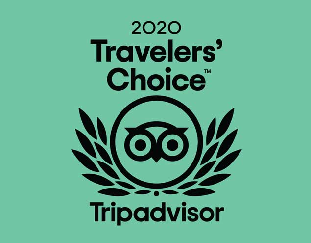 Tripadvisor 2020 Traveler's Choice Logo